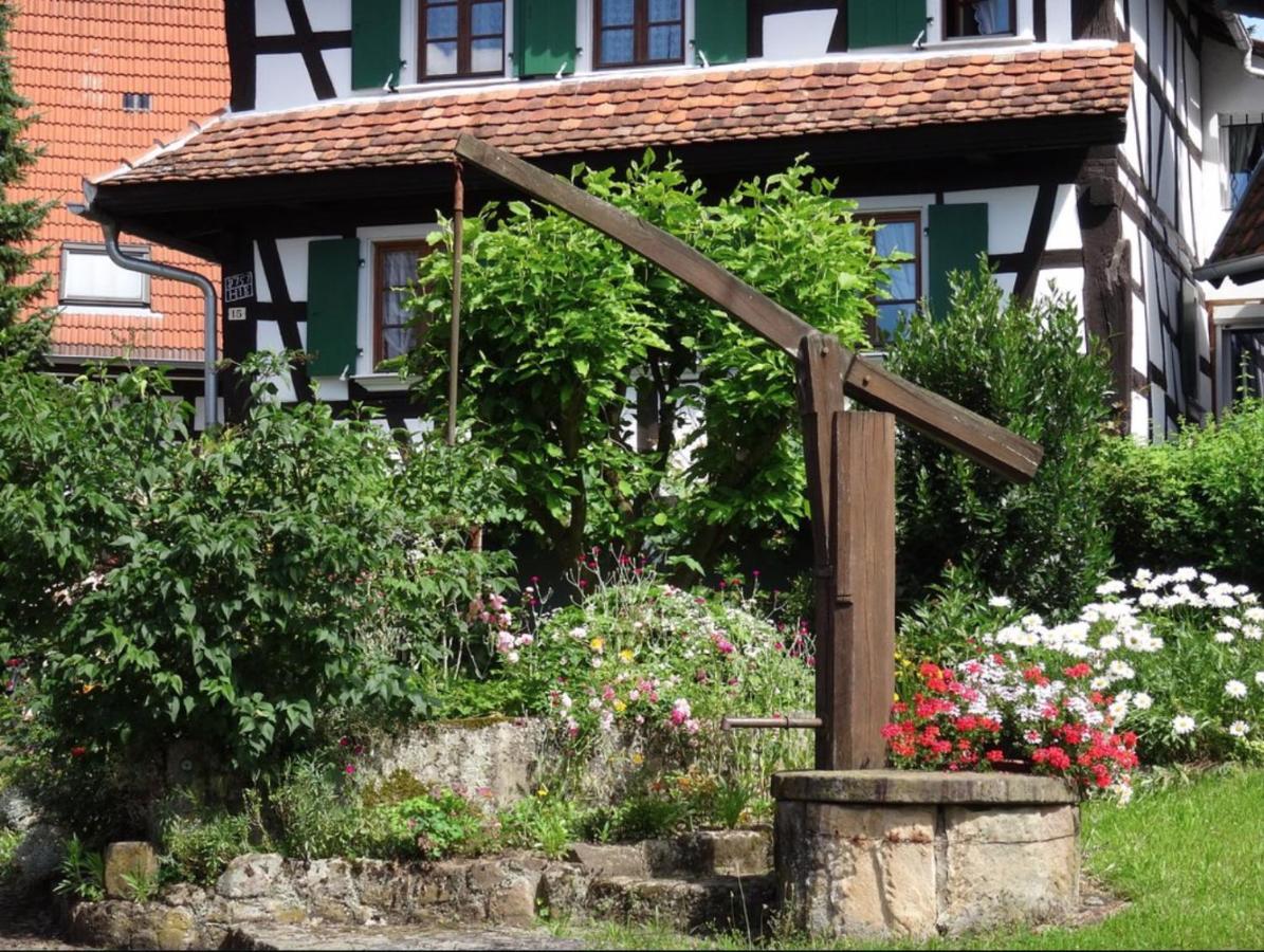 Gites Et Chambres D'Hotes Maison Ungerer Hunspach 외부 사진