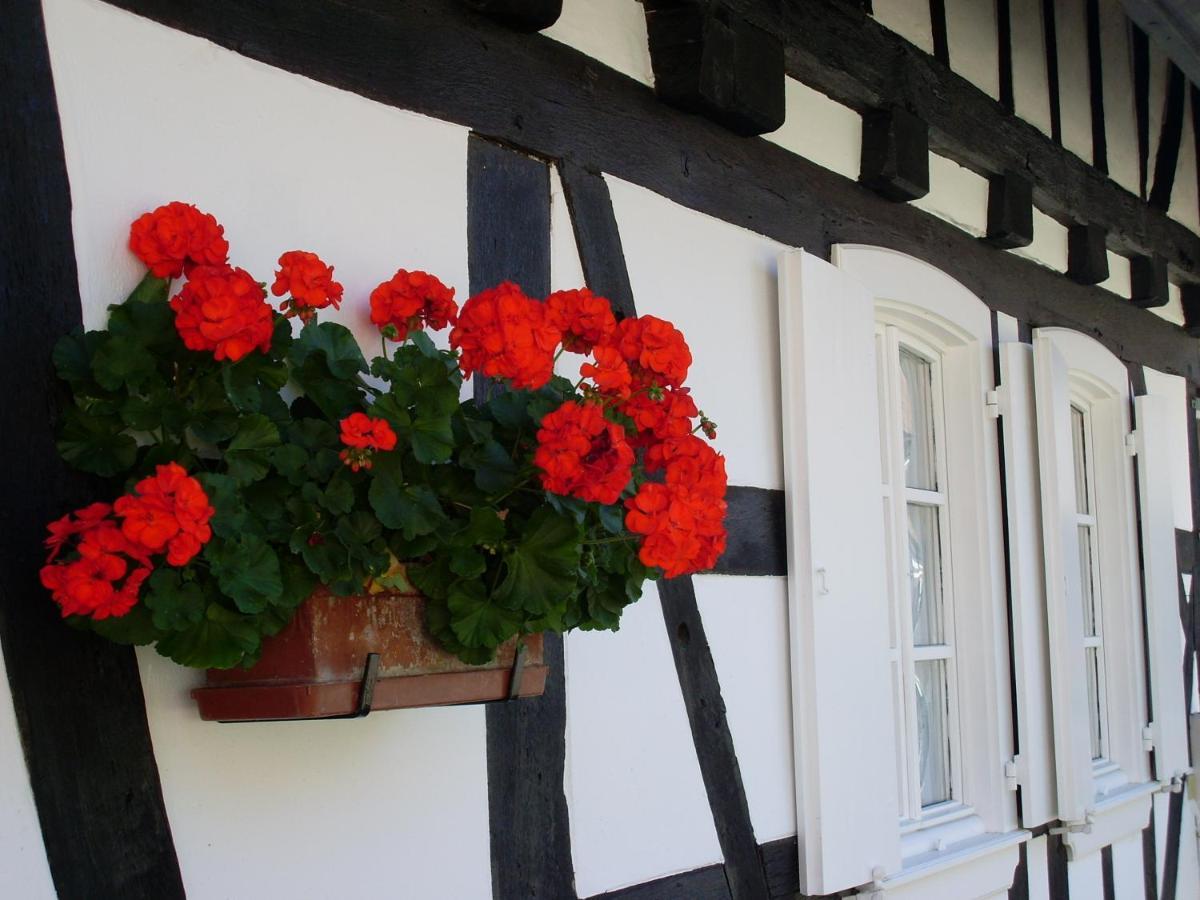 Gites Et Chambres D'Hotes Maison Ungerer Hunspach 외부 사진