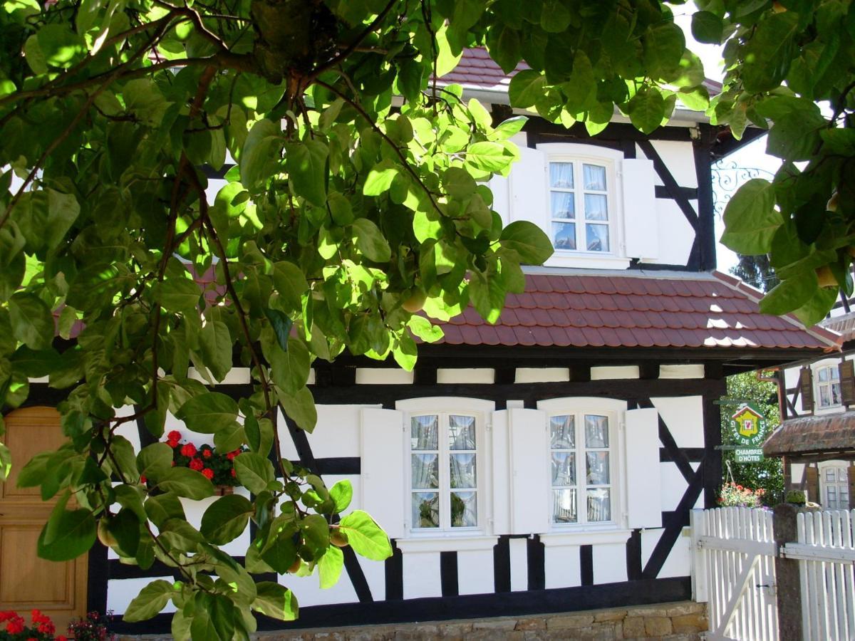 Gites Et Chambres D'Hotes Maison Ungerer Hunspach 외부 사진
