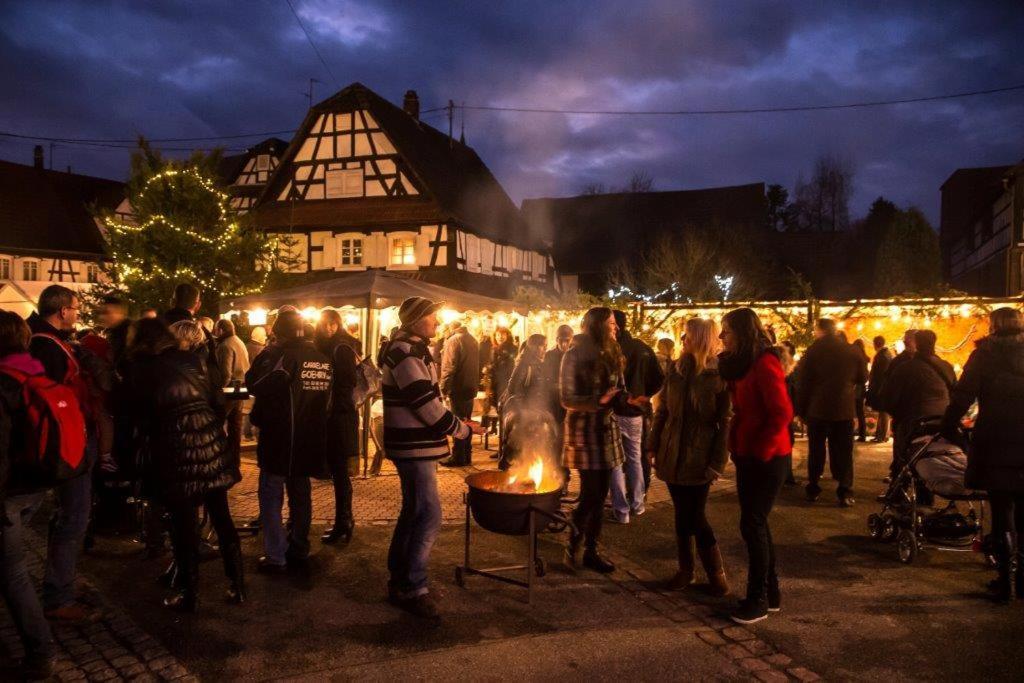 Gites Et Chambres D'Hotes Maison Ungerer Hunspach 외부 사진