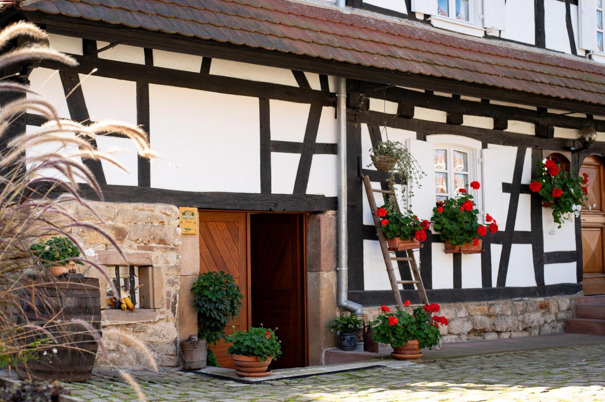 Gites Et Chambres D'Hotes Maison Ungerer Hunspach 외부 사진