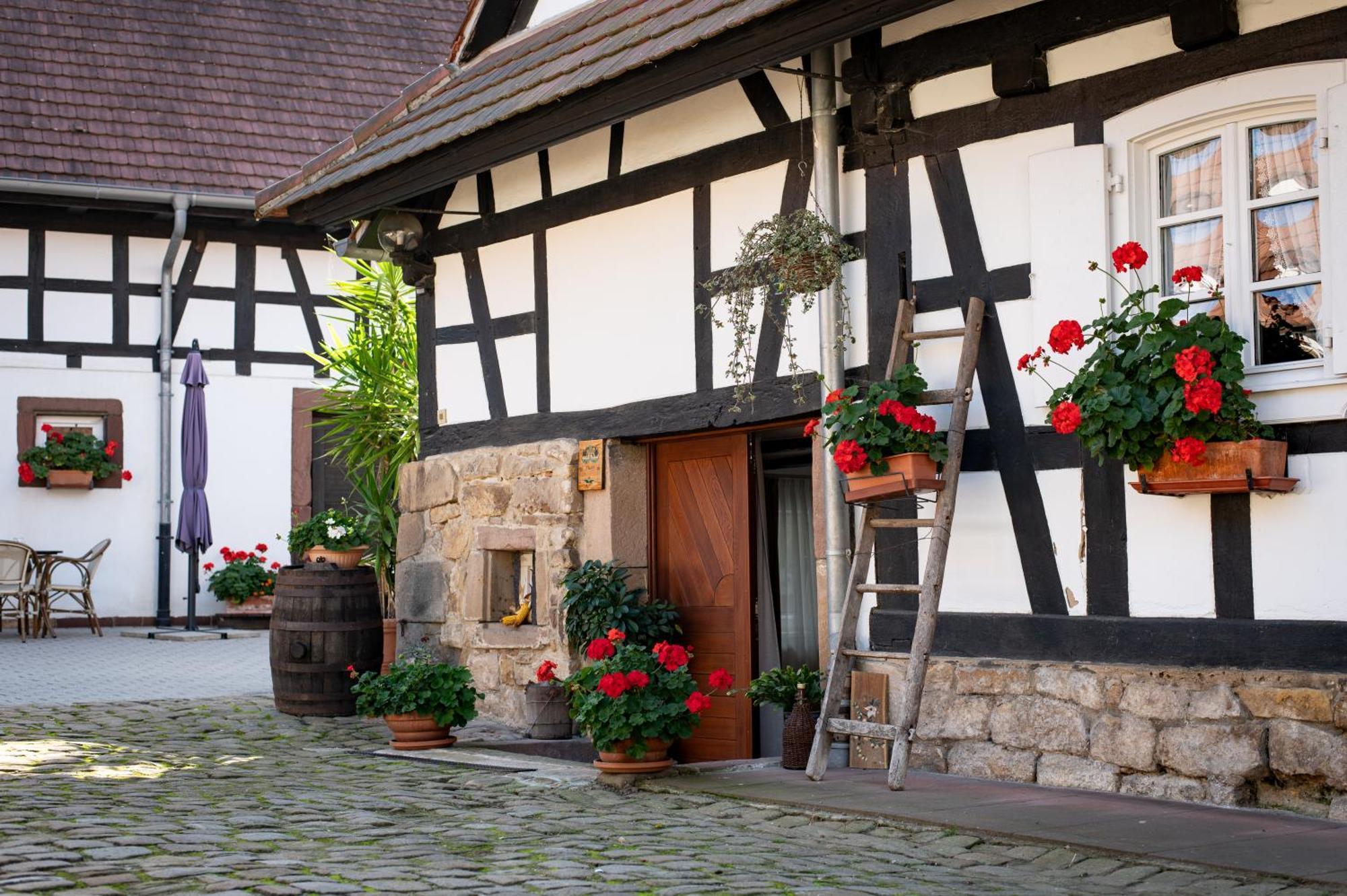 Gites Et Chambres D'Hotes Maison Ungerer Hunspach 외부 사진