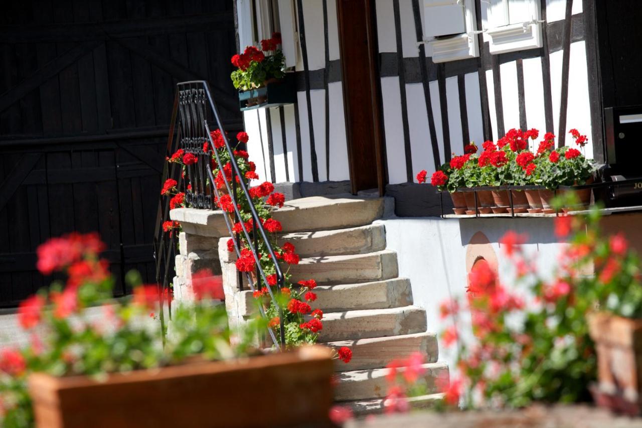 Gites Et Chambres D'Hotes Maison Ungerer Hunspach 외부 사진